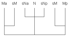 Esquema de la estructura fontica de la slaba