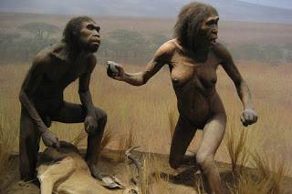 Recreacin de Homo ergaster