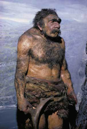 Reconstruccin de un neandertal
