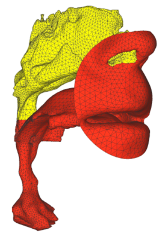 Recosntruccin 3D de un tracto vocal